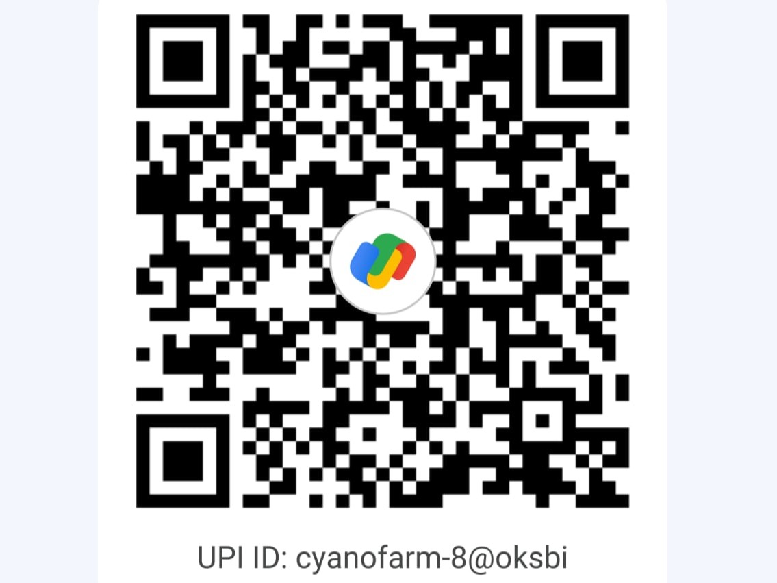 UPI QR Code